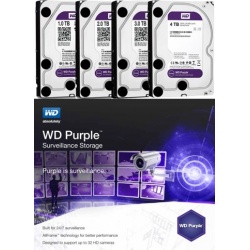 wd_purpleb